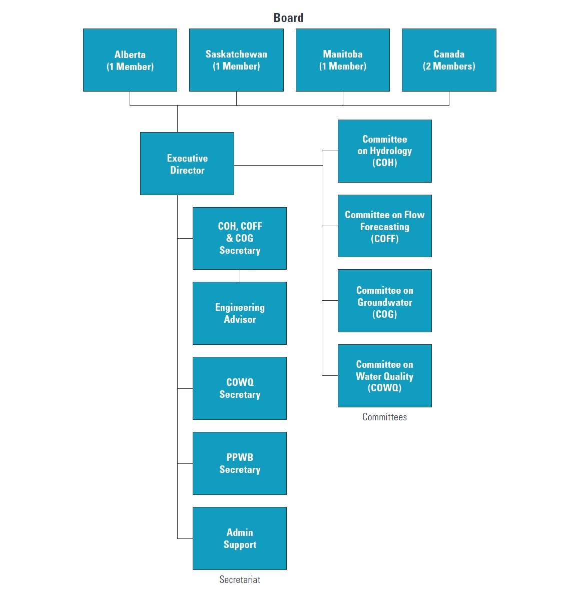 2020 Organization chart